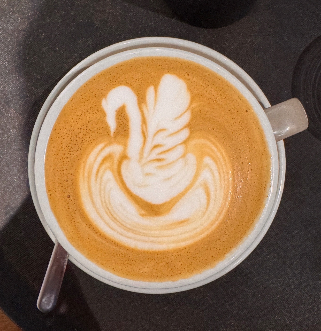 Photo by joewilliaam