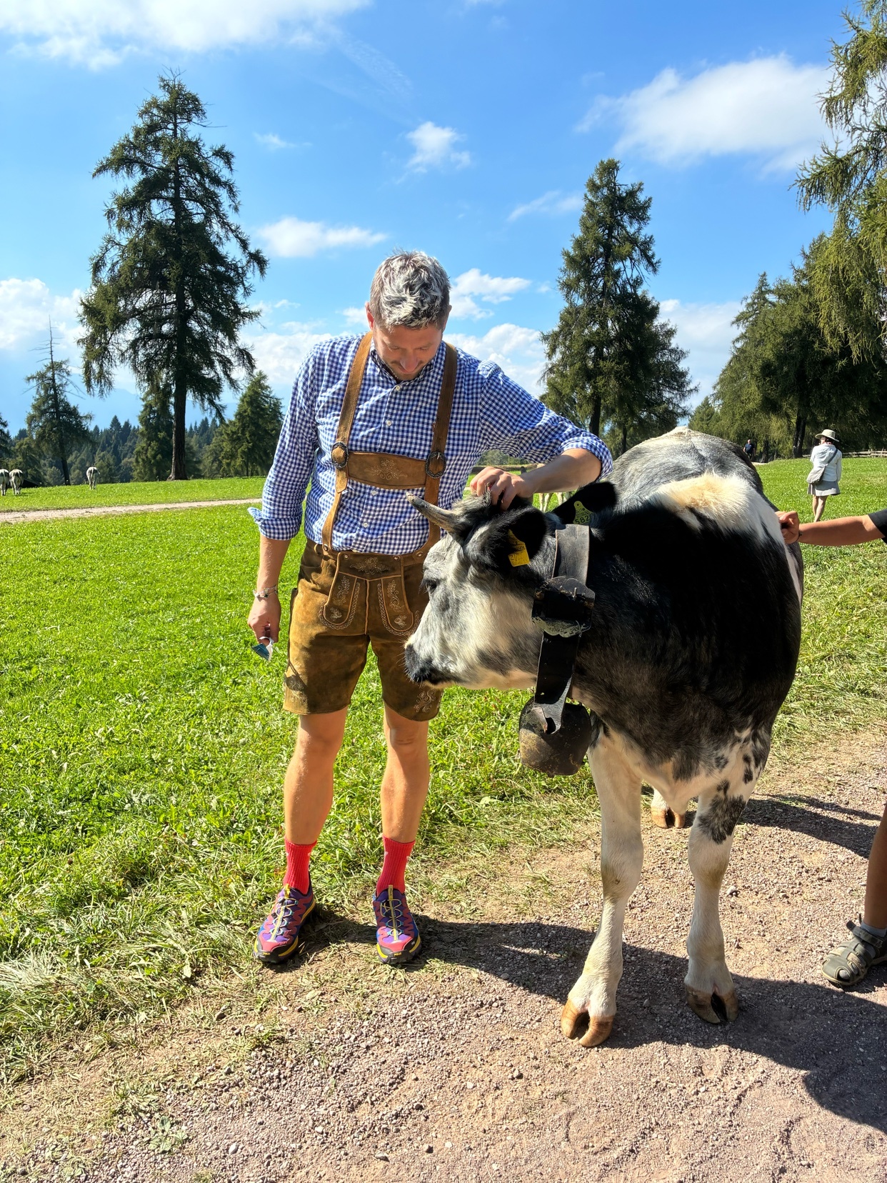 A man in traditional lederhosen pets a cow with a bell around its neck. They are standing on a dirt path with a grassy field and trees in the background under a clear blue sky.