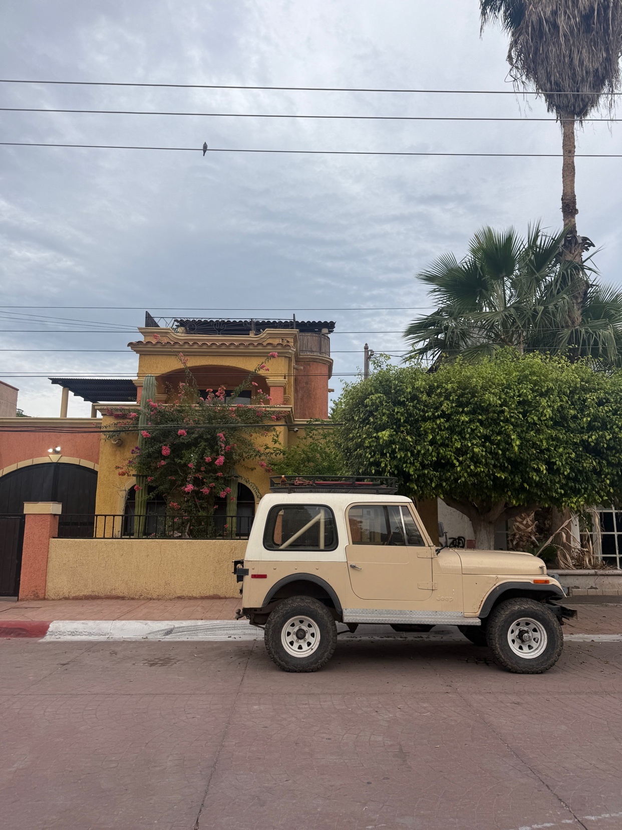 Photo by nicholas_becker