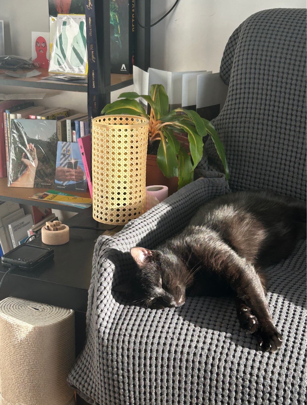 Photo by lololorenzo