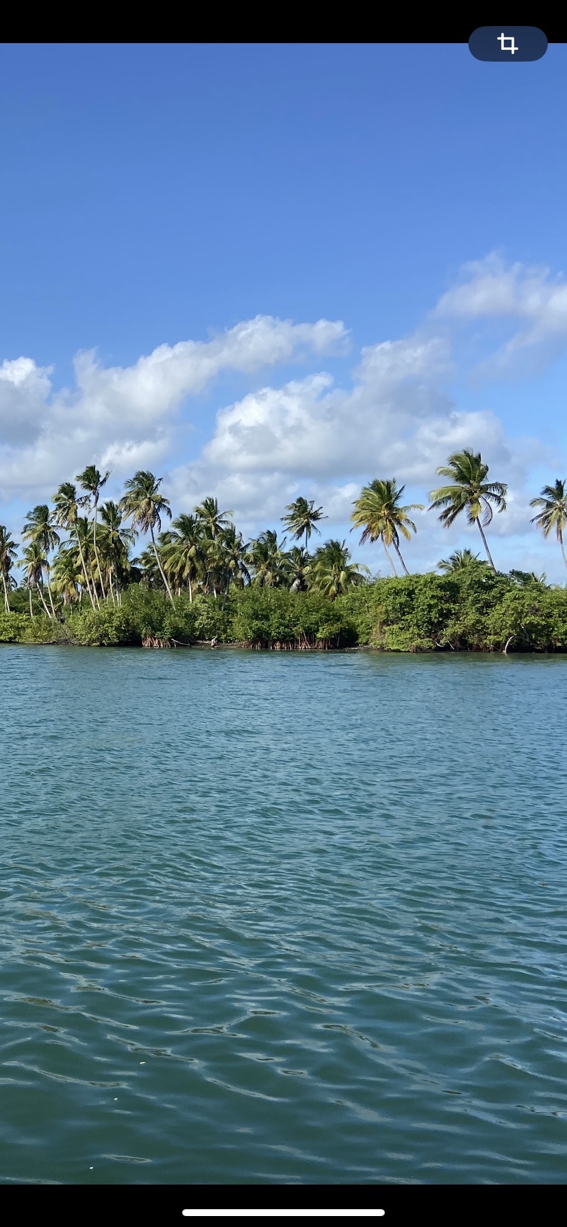 Photo by ffernandoalves