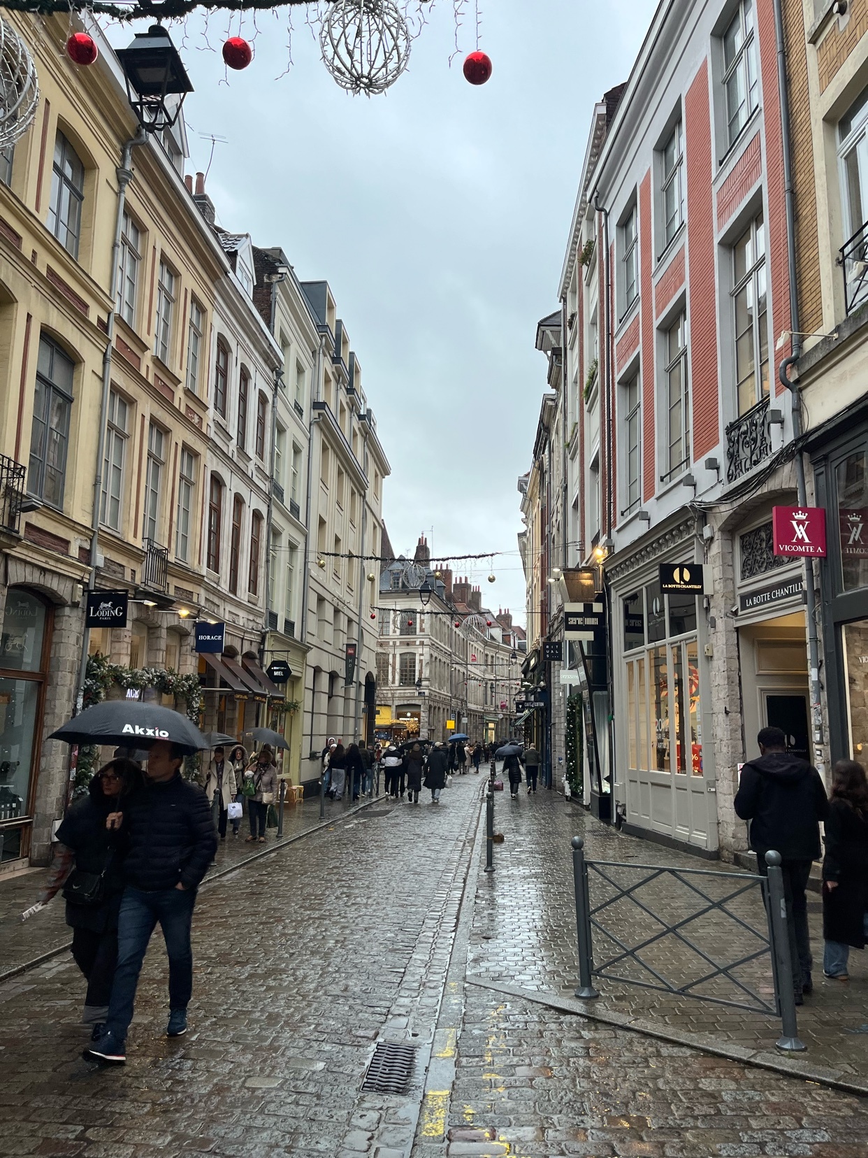 Photo by itsalexcuriel