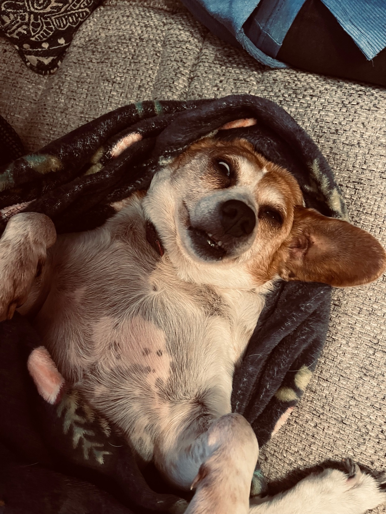 Photo by danielcastens