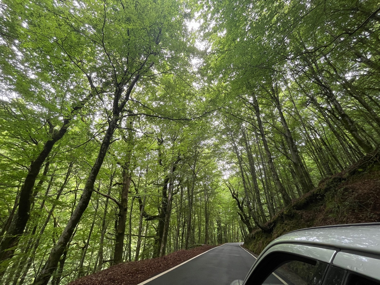 Photo by jeremiaspalagani