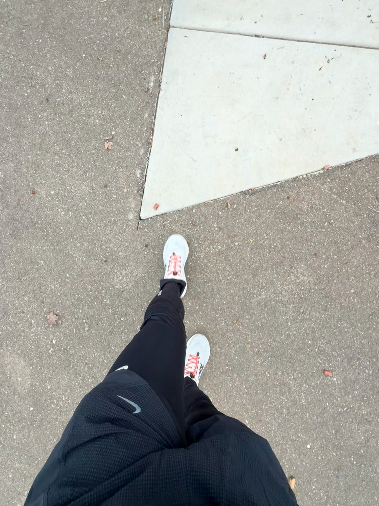 Photo by fantastikarl