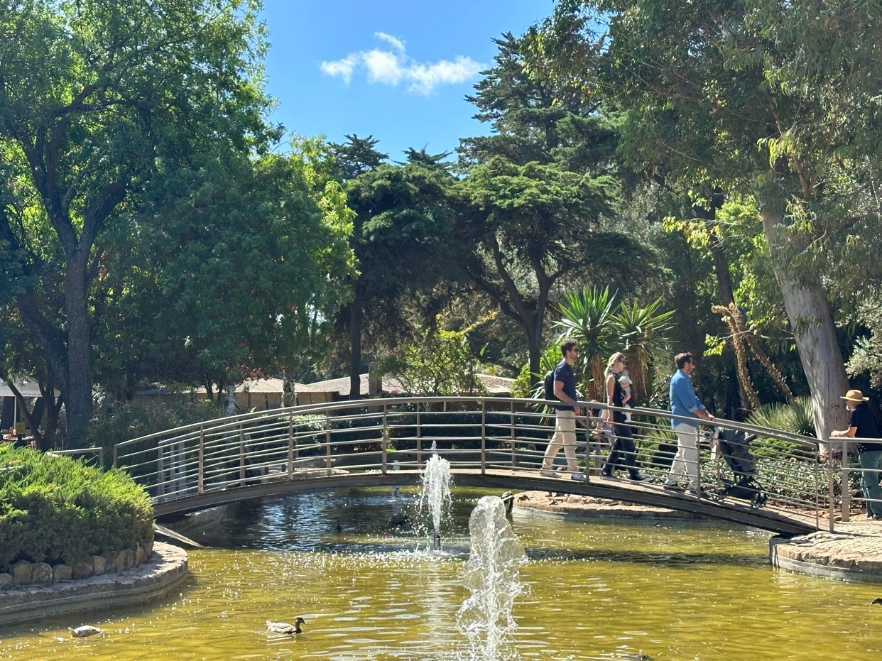 Photo by stingingsarcasm