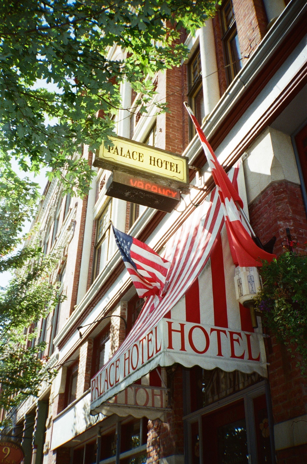 Photo by rheeses_puffs