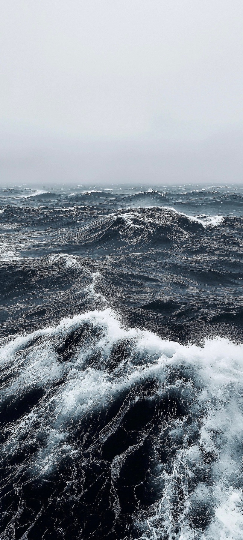 Photo by little.warri0r