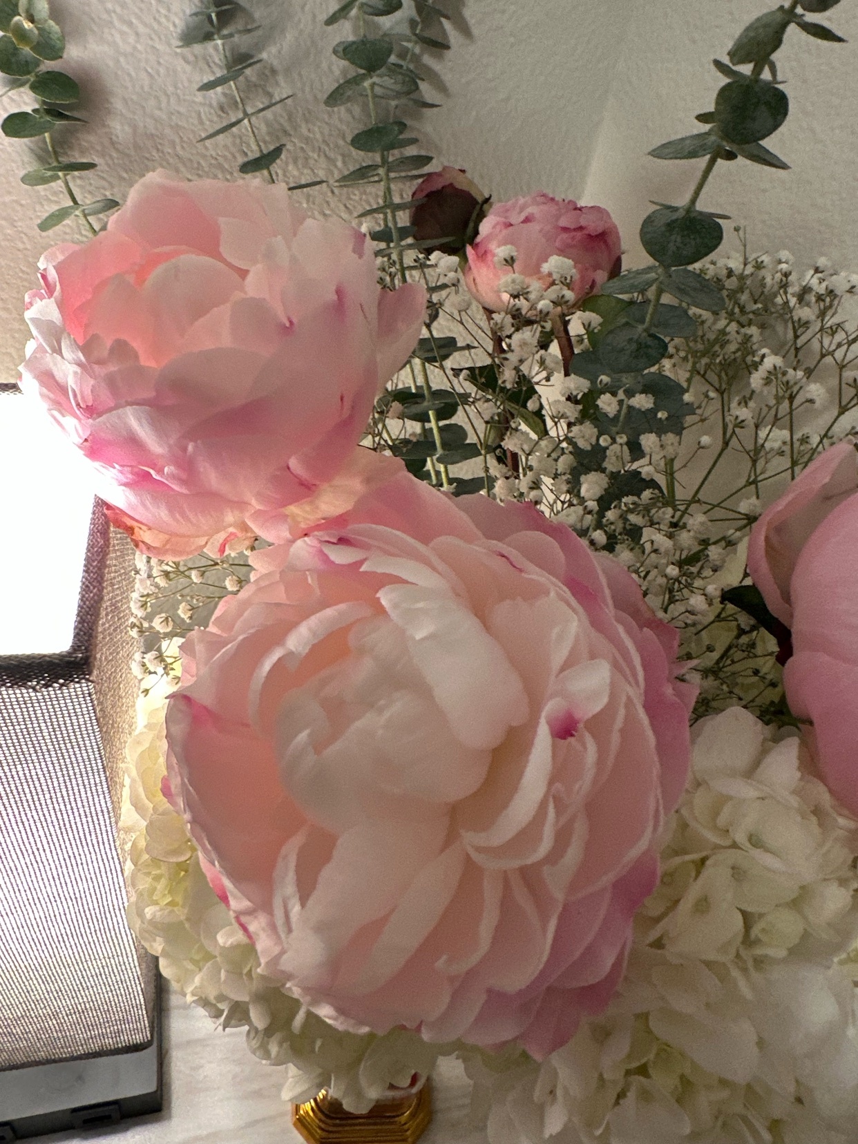 Photo by bostonhas29buns