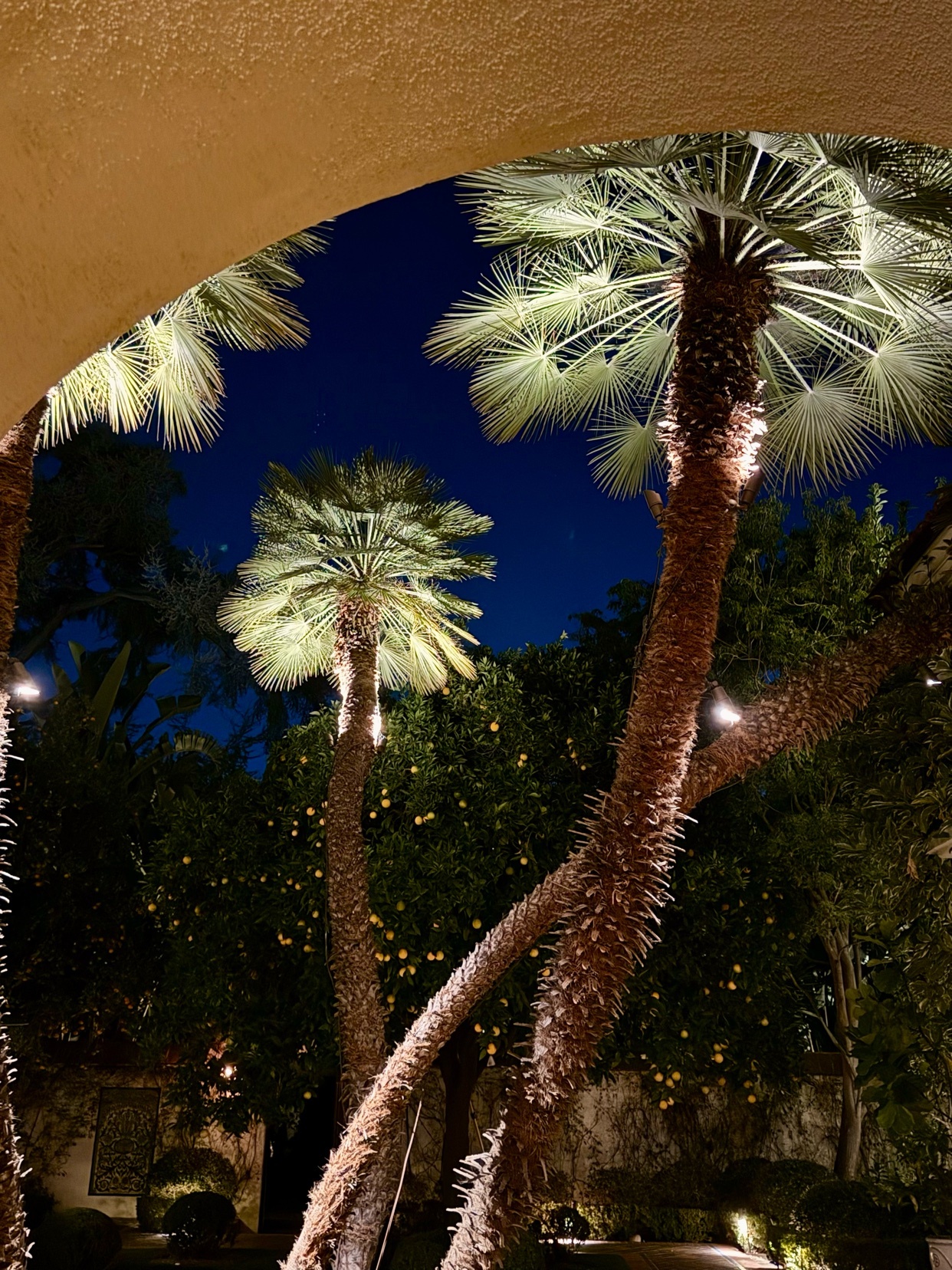 Photo by byjoshjames