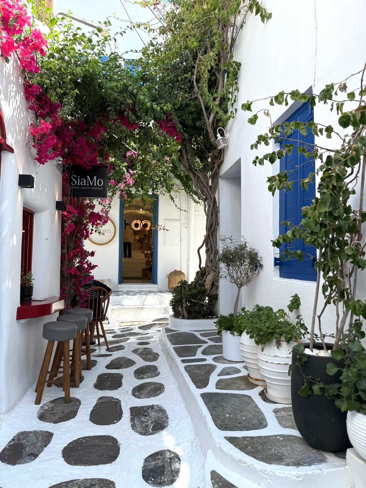 A charming alleyway in Mykonos, Greece, features white-washed buildings adorned with vibrant pink bougainvillea and lush greenery. The path is paved with unique grey and white stones, leading towards a shop entrance.