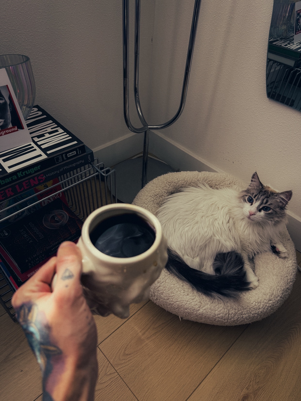 Photo by stbnch