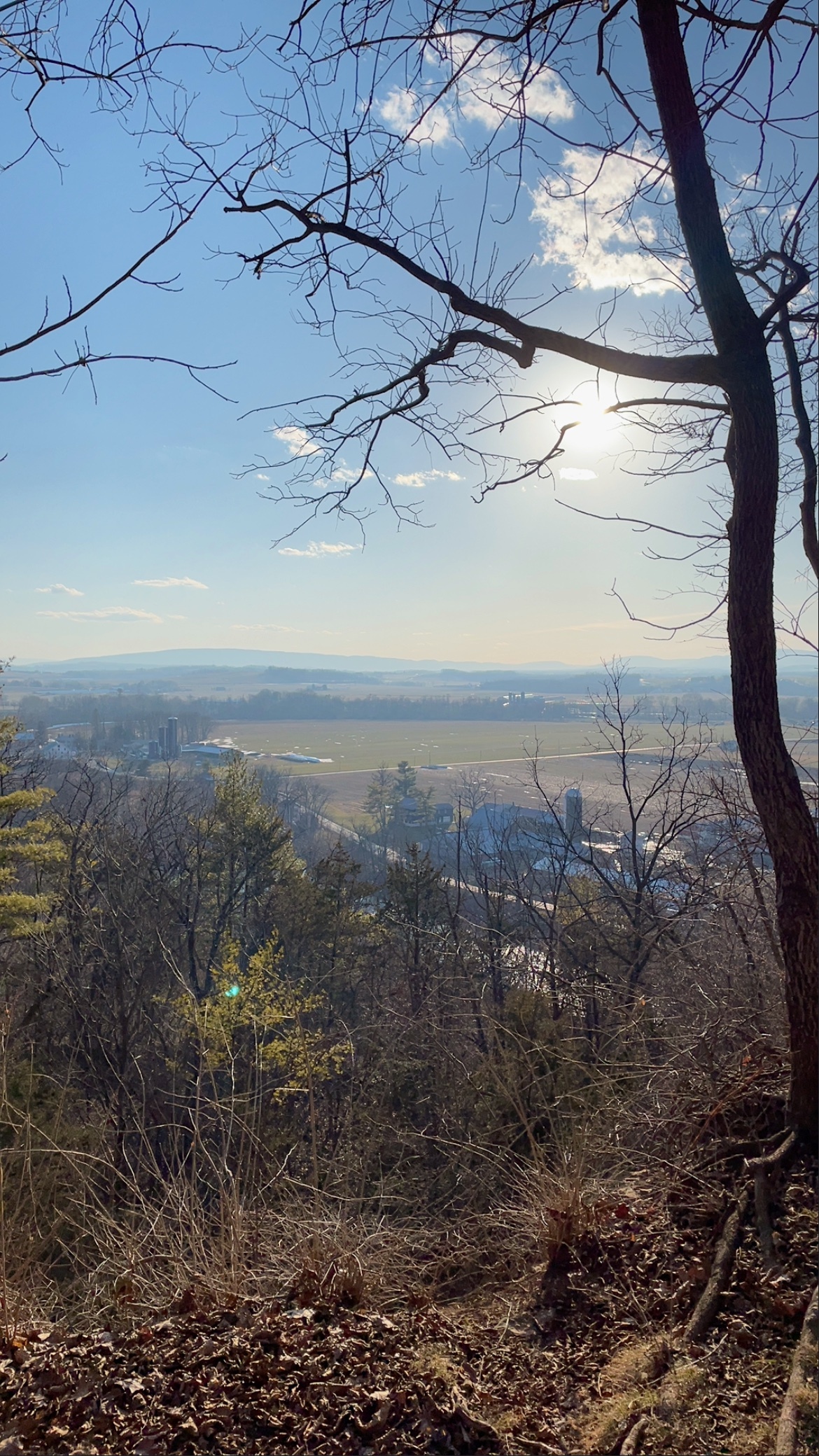 A bright sun shines through the bare branches of trees, overlooking a rural landscape in central Pennsylvania.