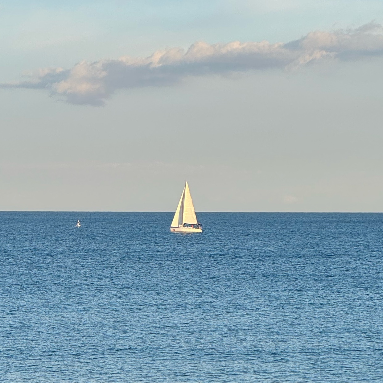 Photo by vicentesolbes