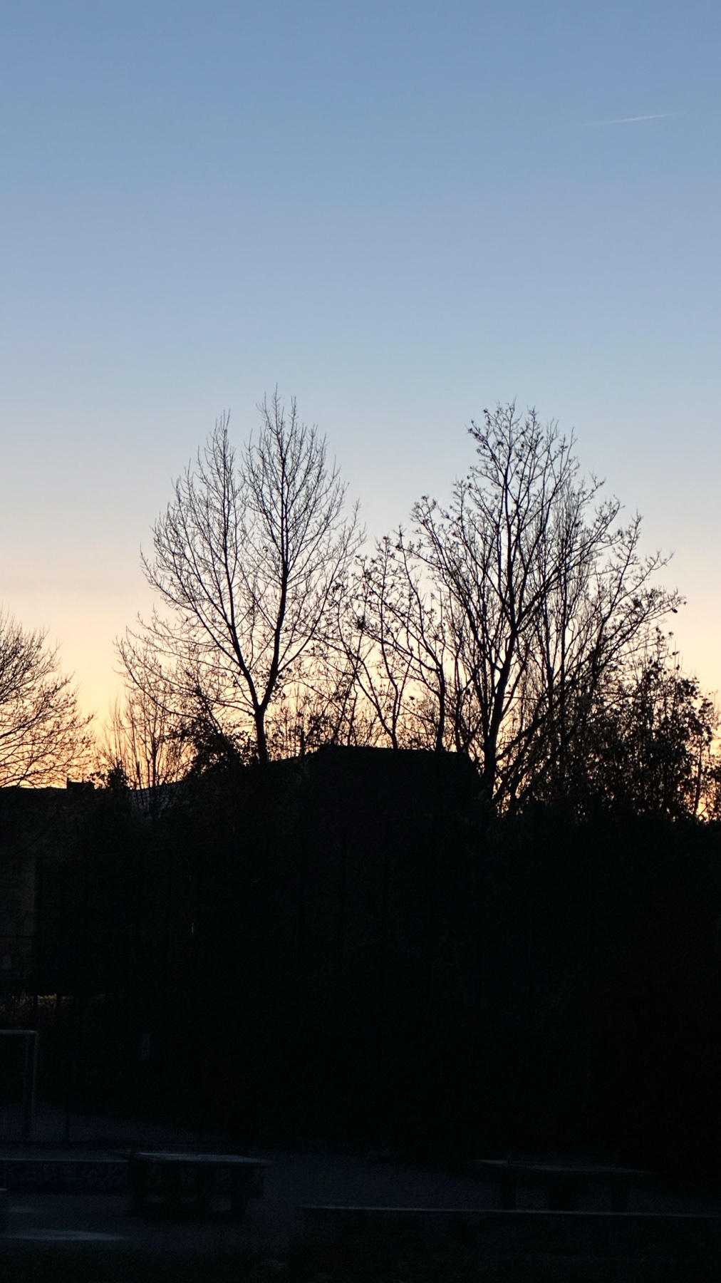 Photo by al_ex_an_der