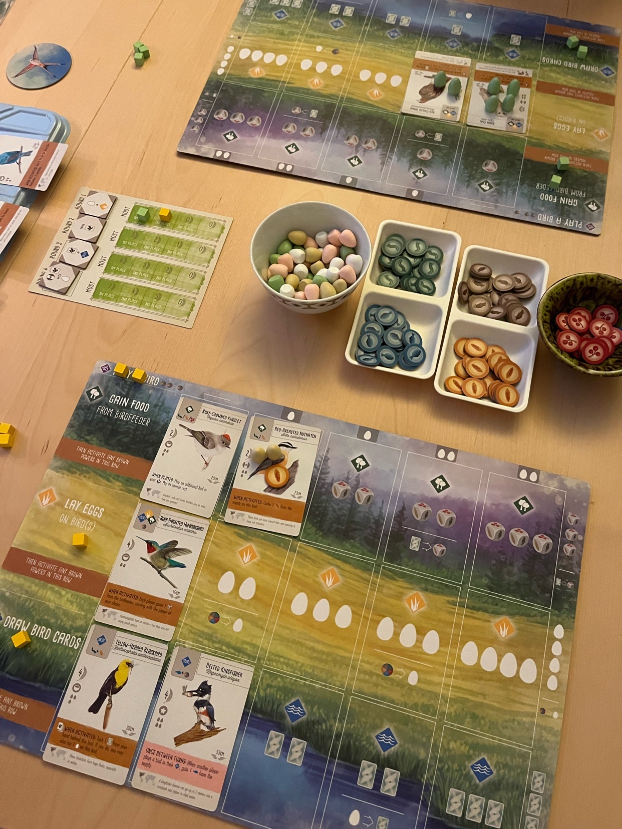 Photo by vincentthefox