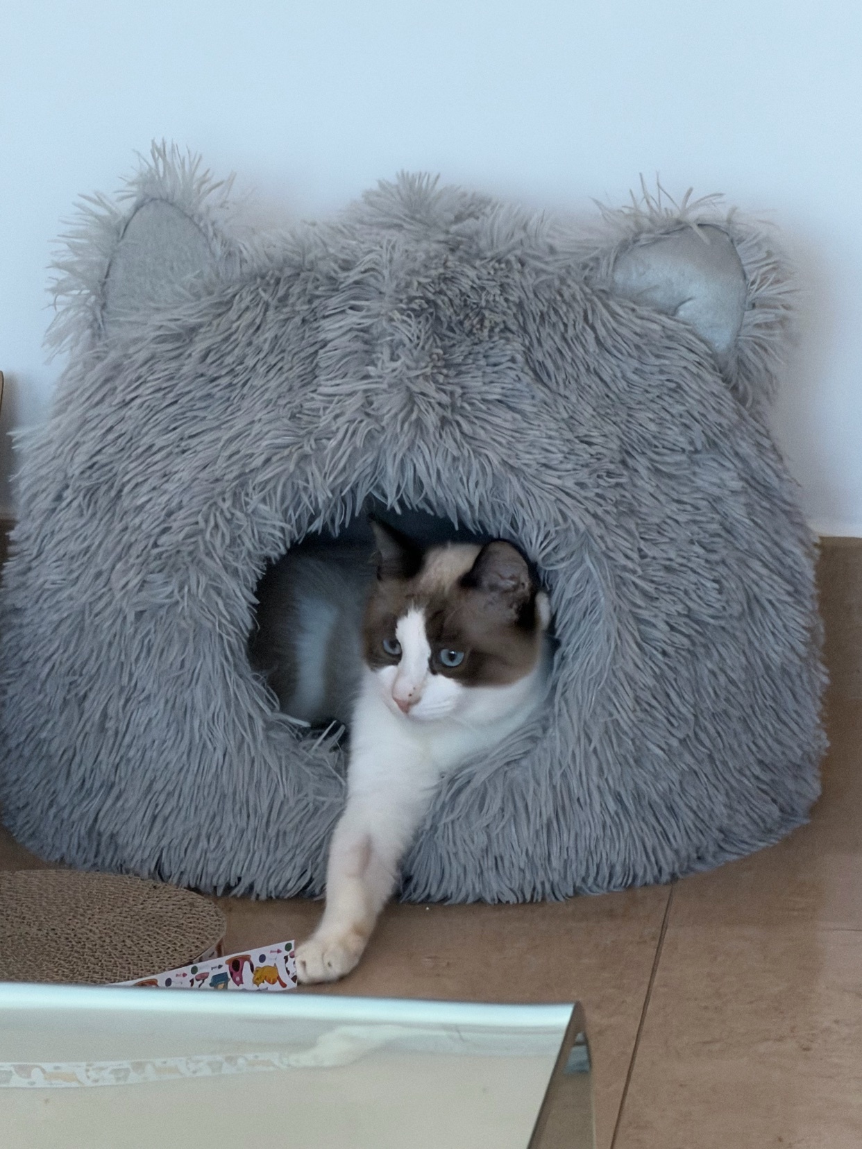 Photo by marc.chavanne