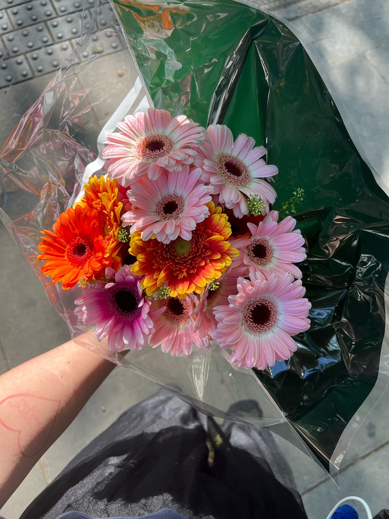 Photo by dia / 𝕯𝖎𝖆⋆ on Collective