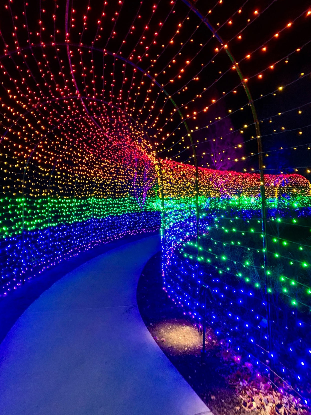 Photo by sadplantboi