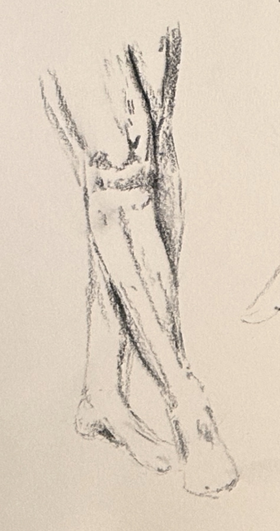 Photo by al_ex_an_der