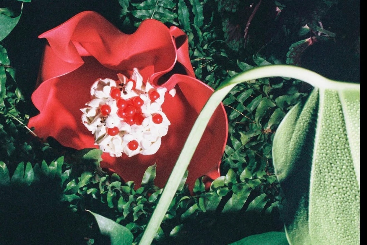A close-up shot of a vibrant red flower with white cream and red berries in the center, surrounded by lush green foliage. The dessert appears to be artfully presented on a designed plate.