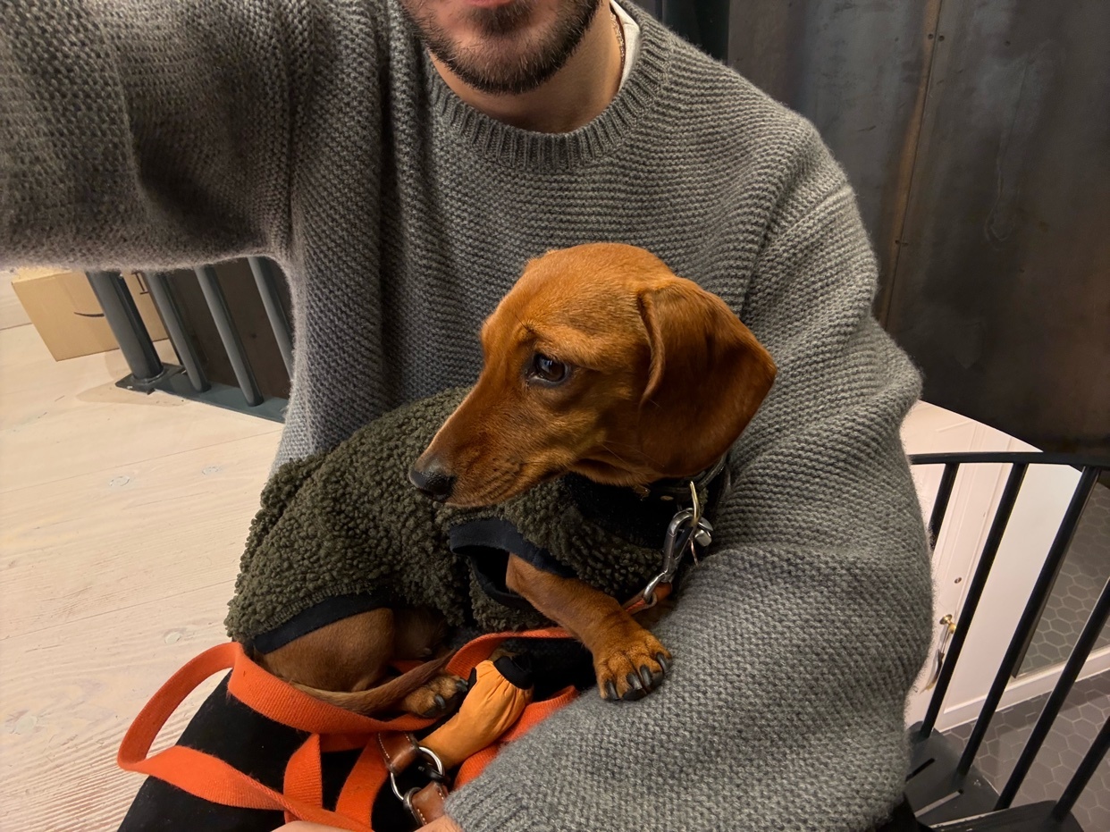 A man holds a small brown dachshund dog wearing a green sweater. The man is wearing a grey sweater and taking a selfie.