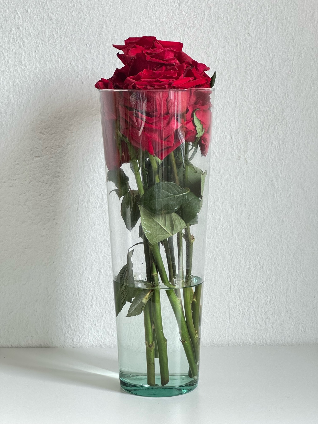 Photo by alkoholiyfriday