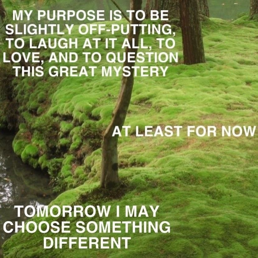 A meme with text overlayed on a photo of moss. The text is a humorous and philosophical quote about purpose.