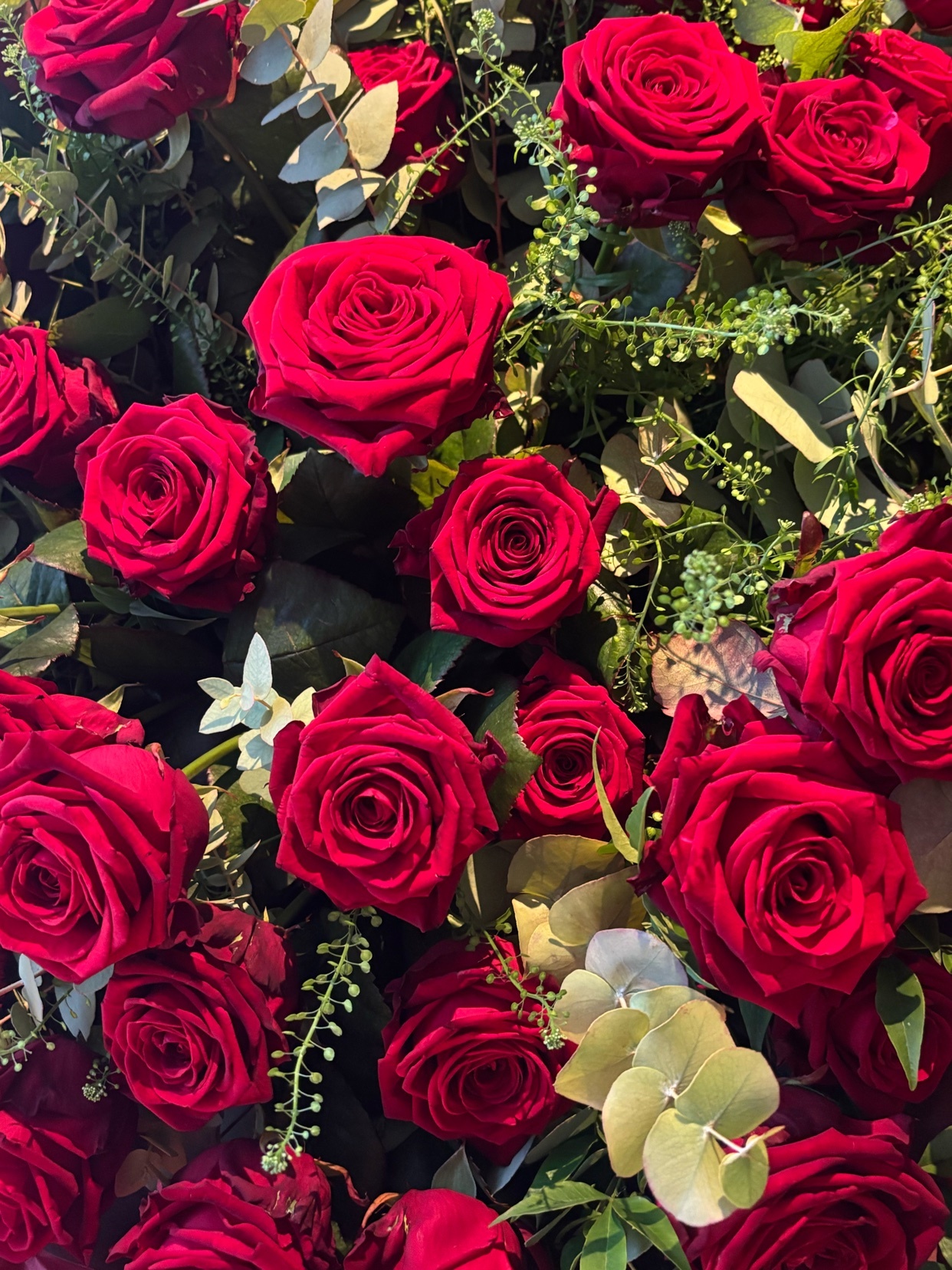 A close-up shot of a vibrant arrangement of red roses. The image showcases the beauty and detail of the flowers.