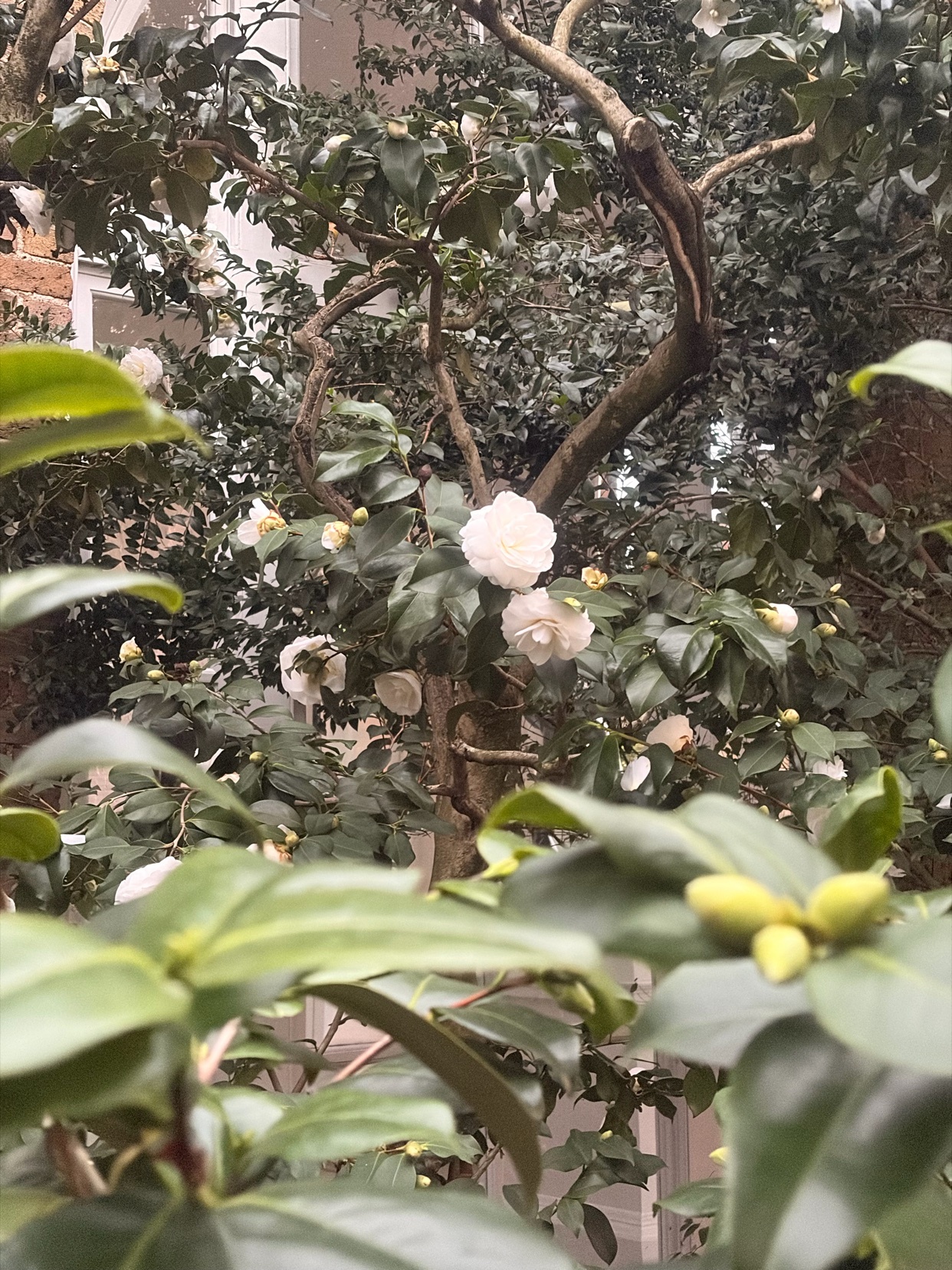 Photo by sabrinacarpenter