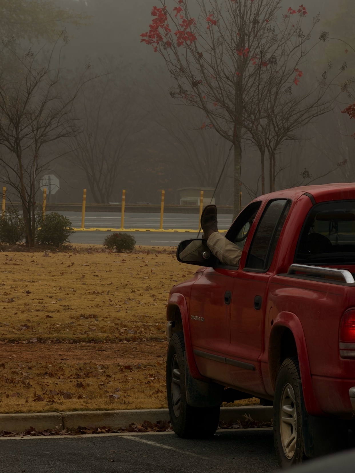 Photo by museumof-lostcauses