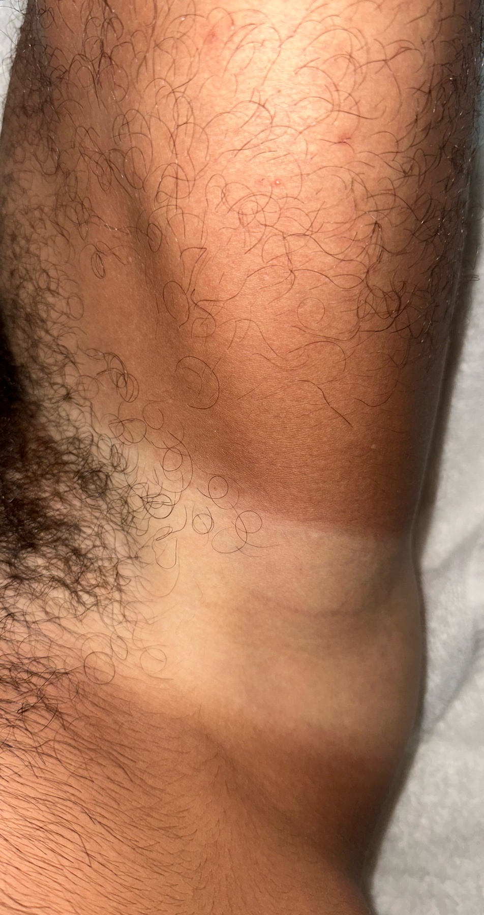 Photo by pedroccreis