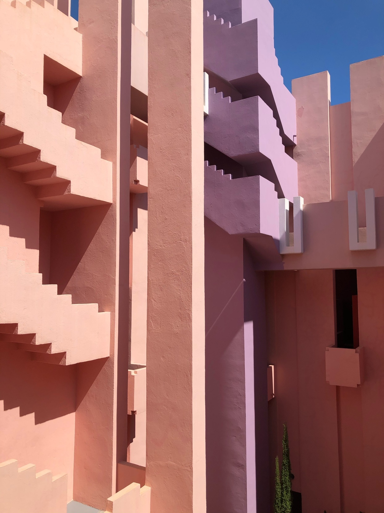 Photo by oandreoliveiracosta