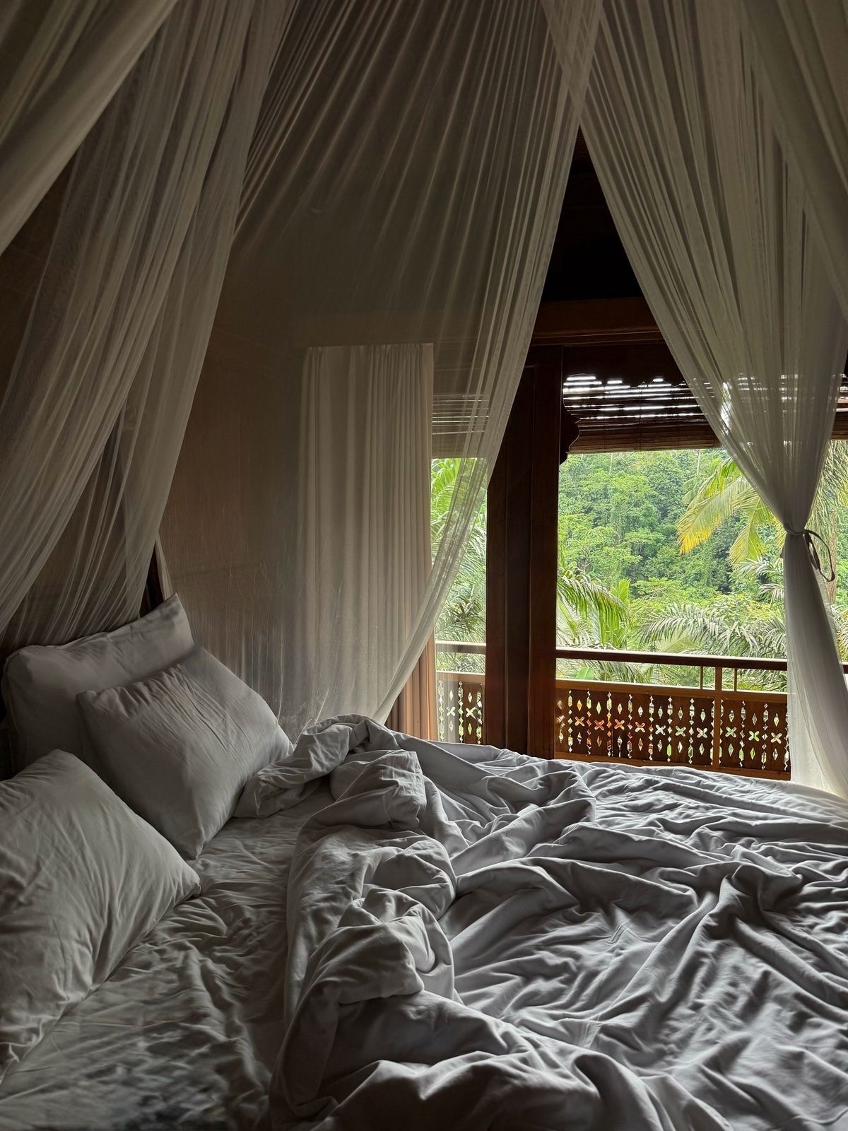 Photo by little.warri0r