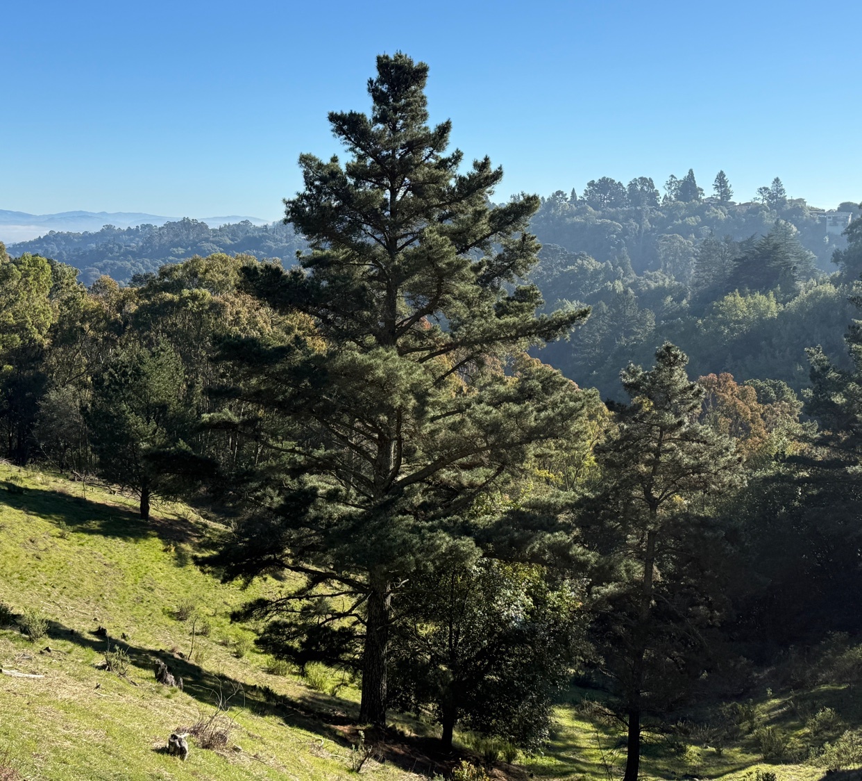 Photo by sam-avocado