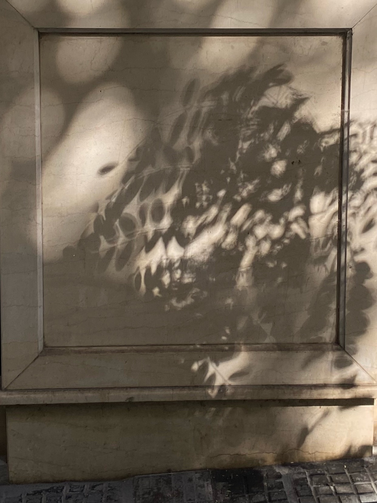 The dappled sunlight casts intricate shadows of leaves and branches onto a marble surface, creating an abstract, natural pattern.
