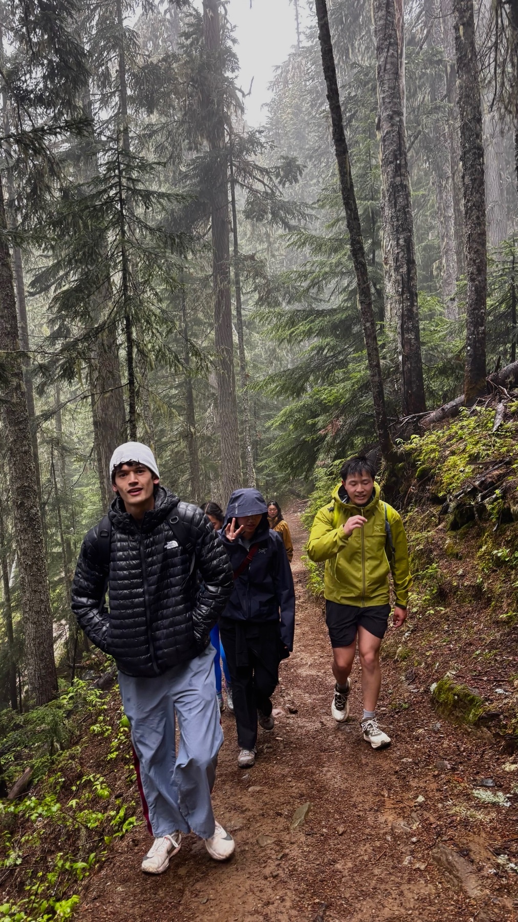 A group of friends hike along a foggy, tree-lined trail in a lush forest. The person in the foreground wears a puffer jacket and light-colored pants, while others in the group are dressed in rain gear.