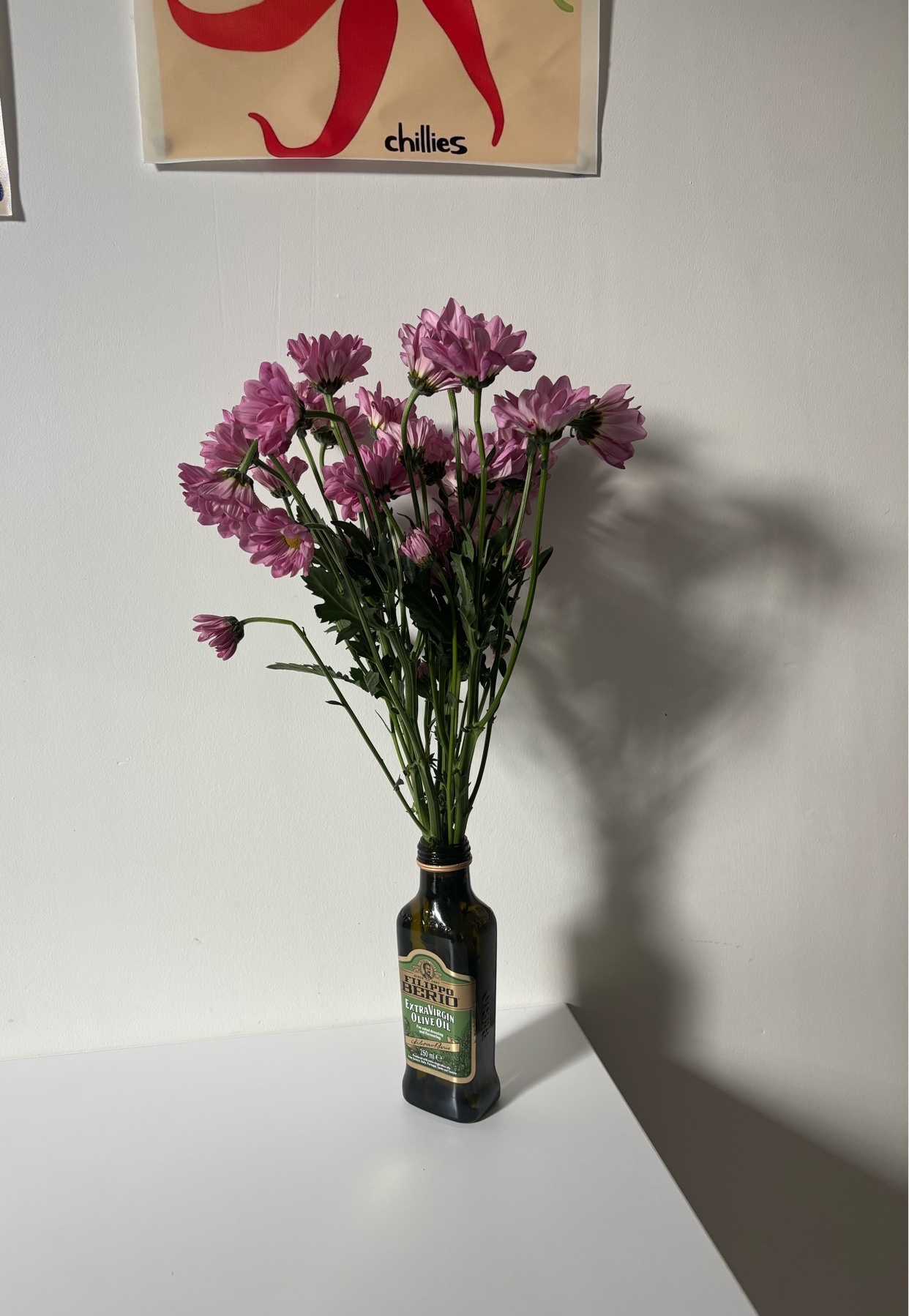 Photo by melisha_barboza