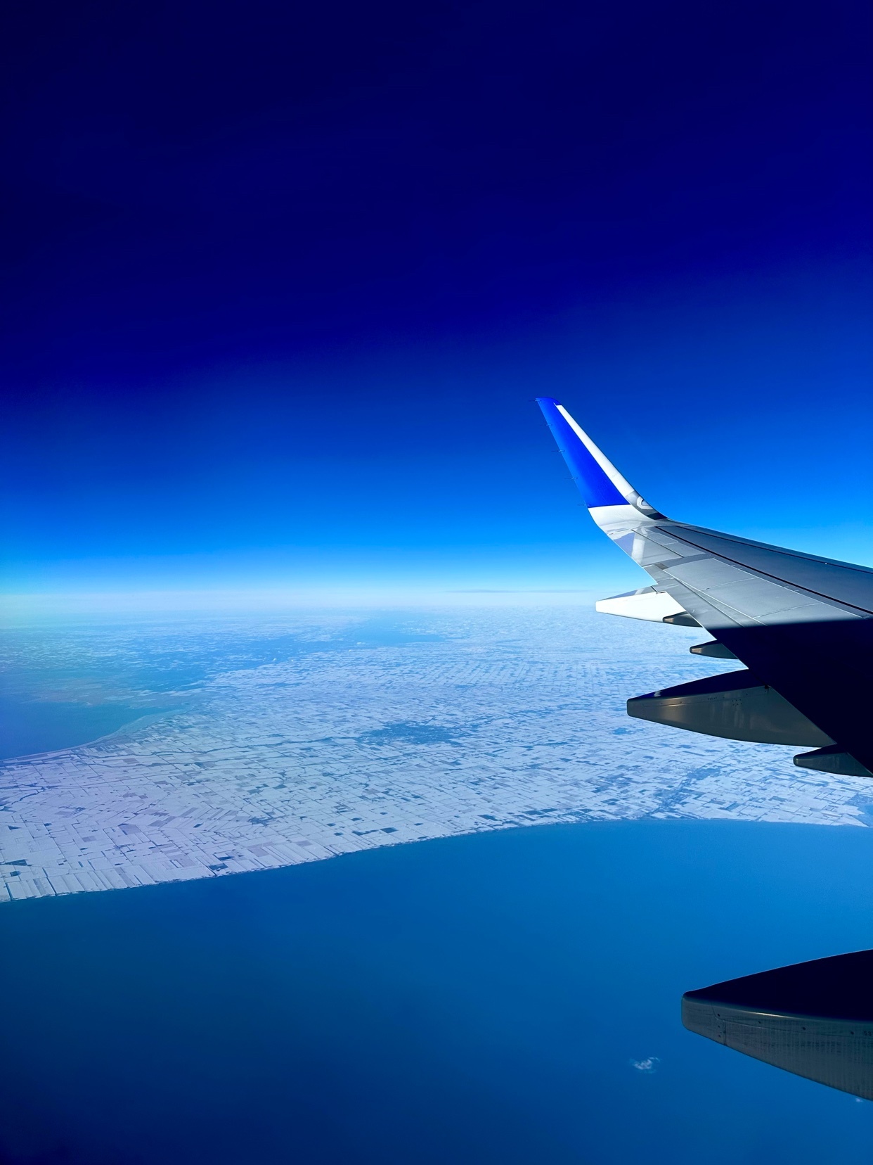 Photo by baldestbaddie