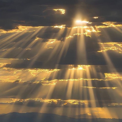 Photo by little.warri0r