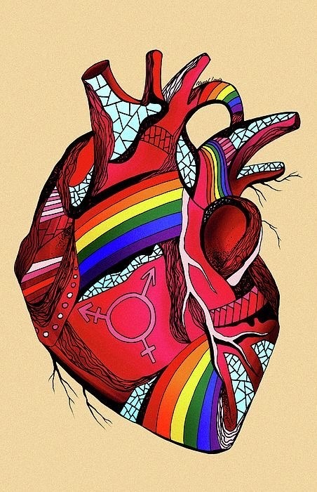 An artistic illustration of a human heart, rendered in vibrant red and adorned with rainbow stripes and symbols representing transgender and genderqueer identities. The intricate linework and colorful design create a powerful visual statement of prid