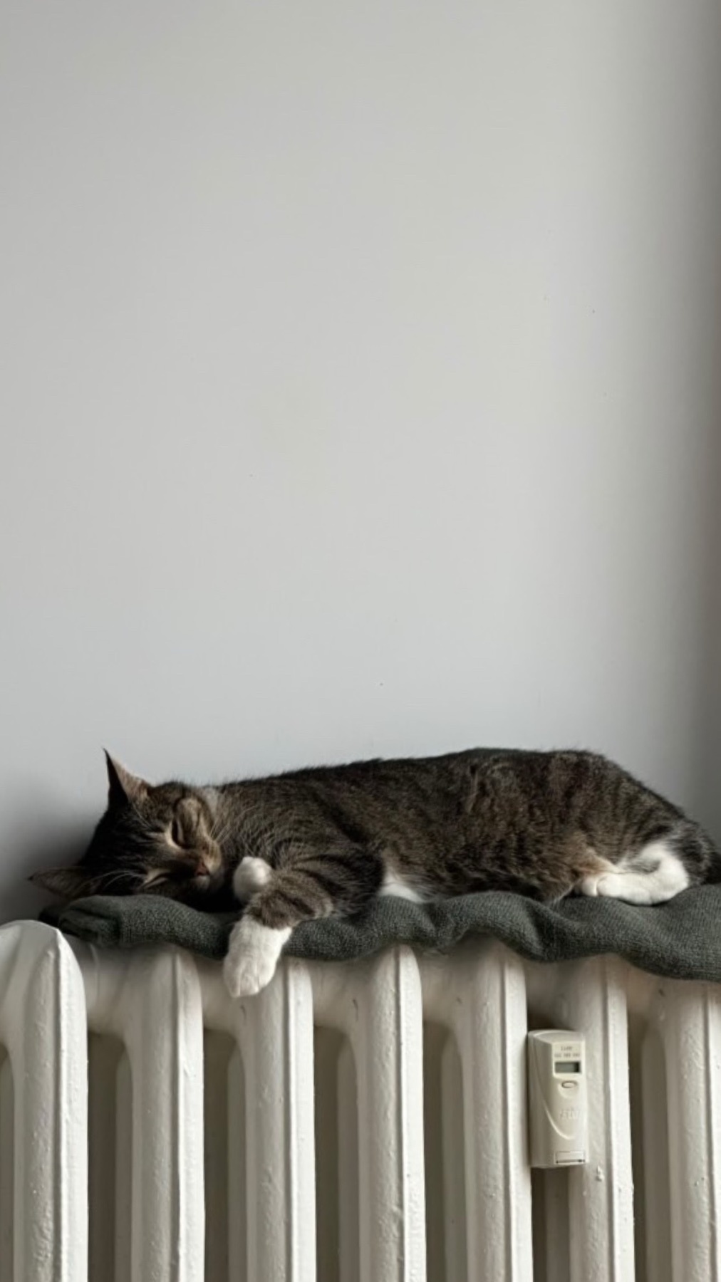 A tabby cat is sleeping on a radiator. The cat is curled up and appears to be enjoying the warmth.