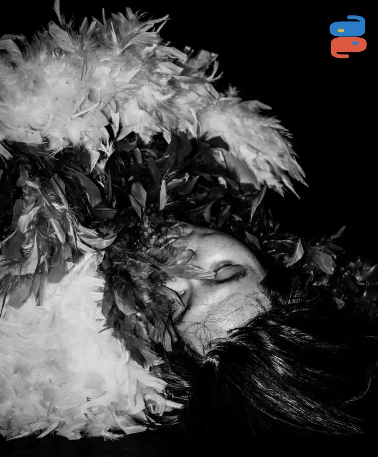 A black and white artistic photo features a face partially obscured by dark hair and surrounded by fluffy white and dark feathers. The lighting is dramatic, creating a surreal and dark aesthetic.