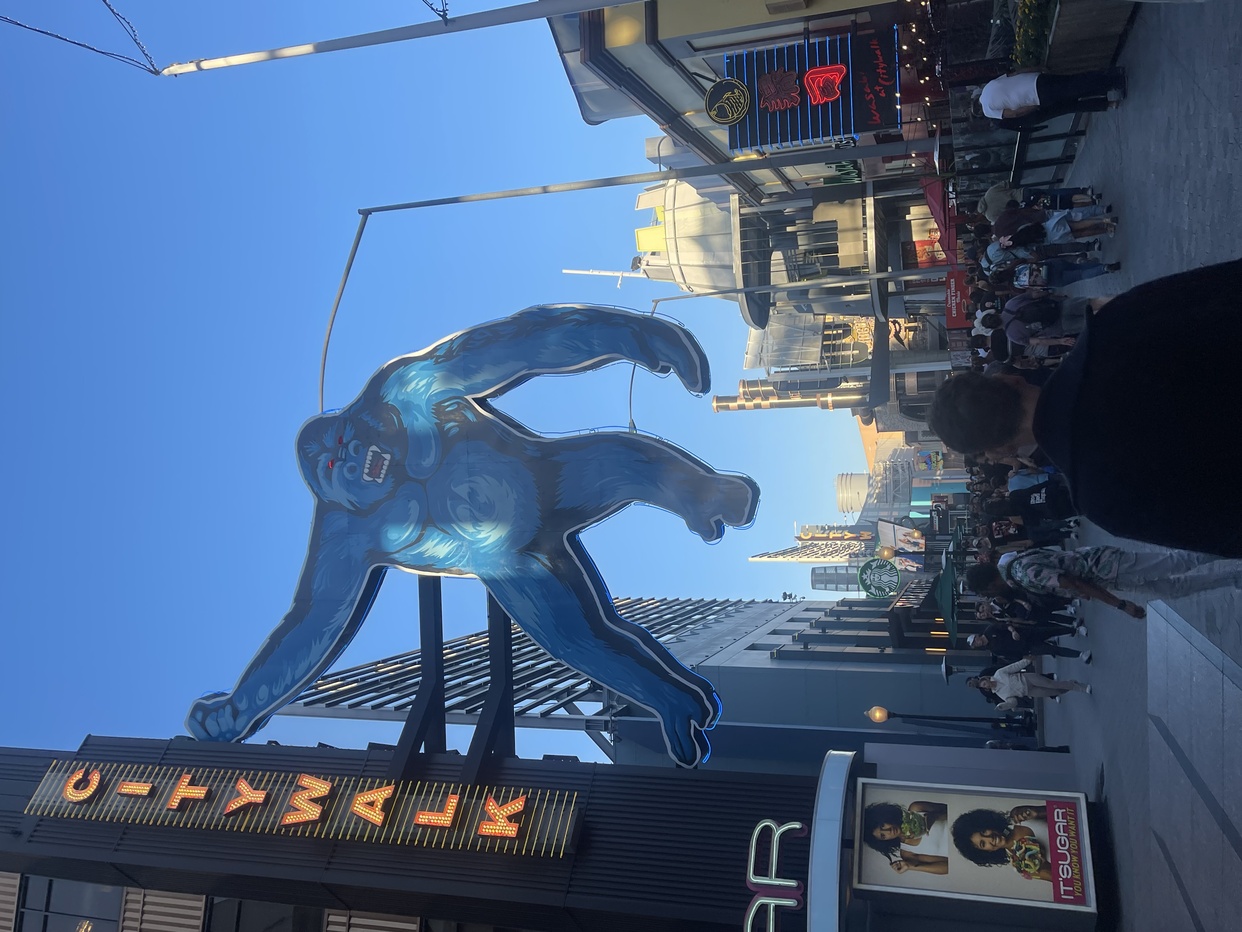 Photo by ricayotorres