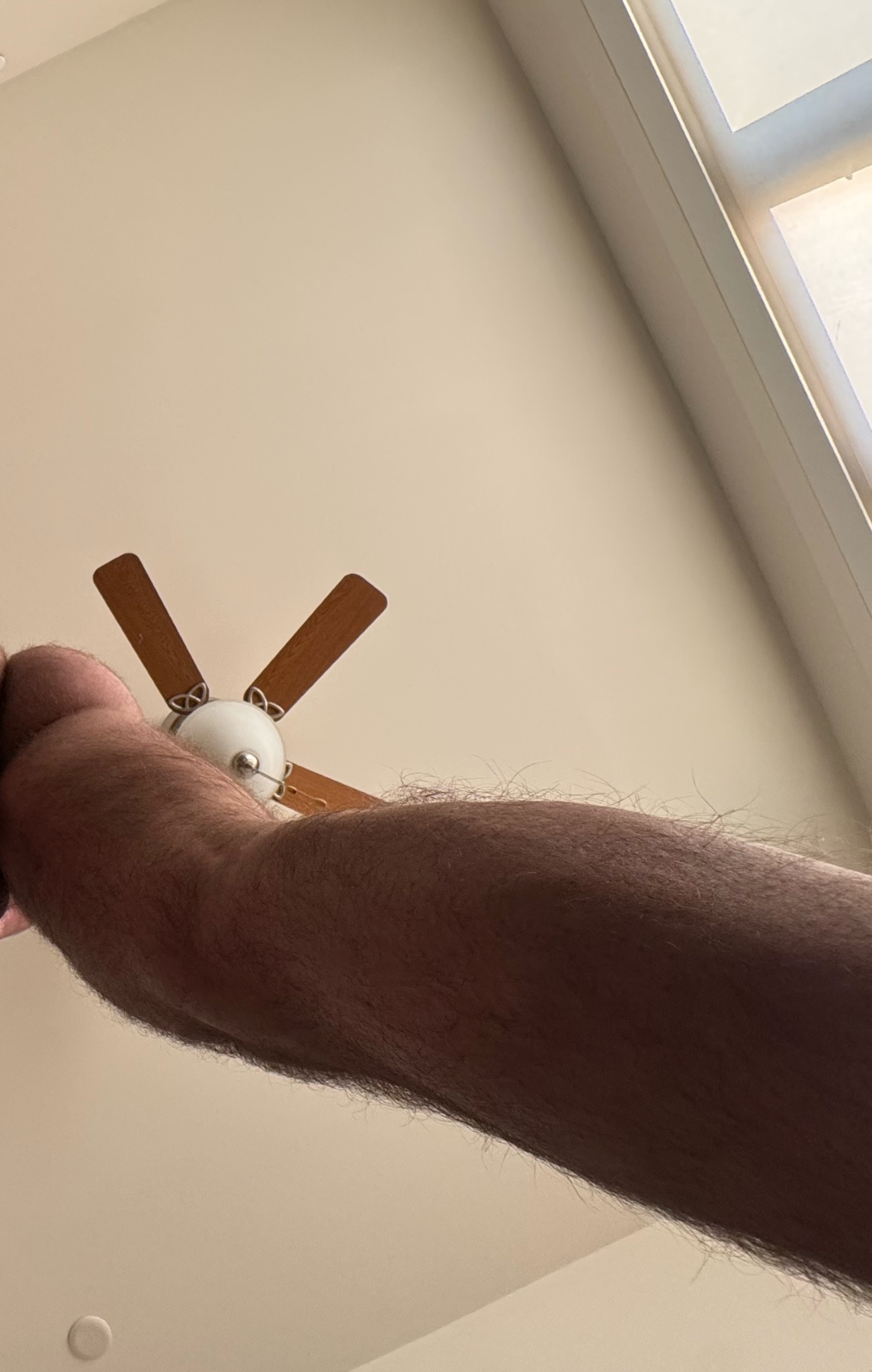 Photo by ifuseekjoao