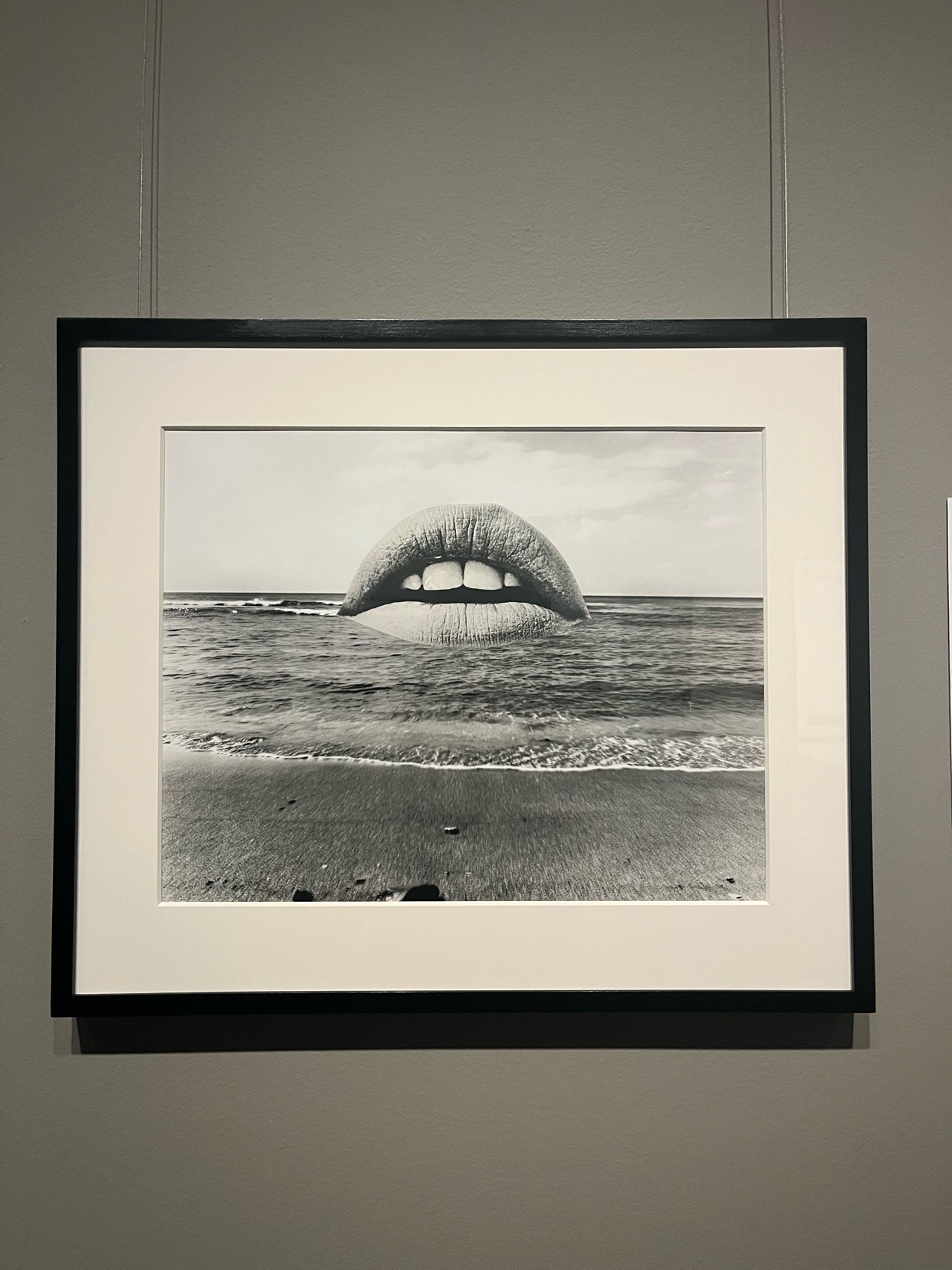 Photo by alex.yellow