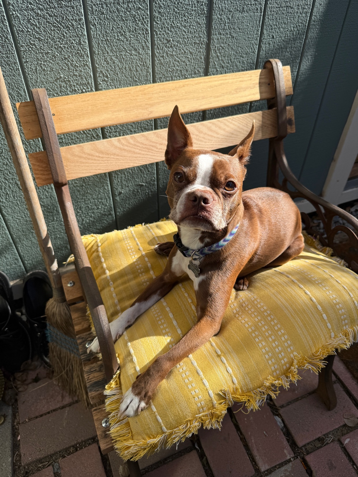 Photo by sam-avocado