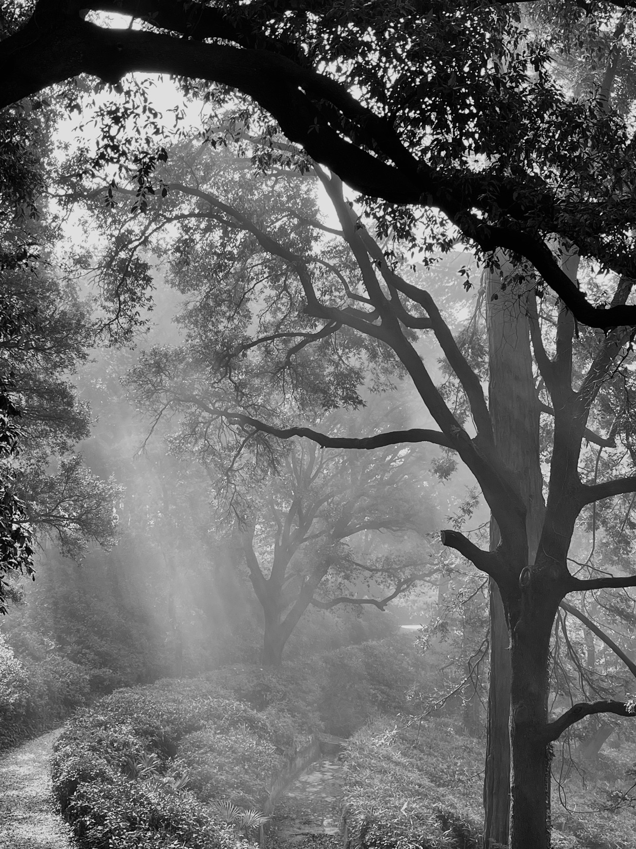 Photo by son_of_a_gun