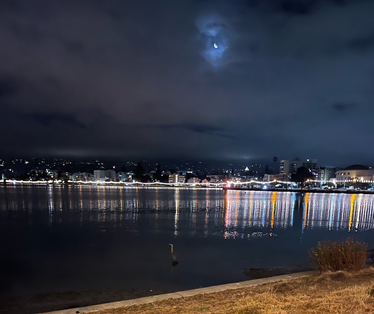 A serene night view of the Oakland cityscape across the water, with the moon visible in the cloudy sky and its reflection shimmering on the water's surface. A heron stands near the shore in the foreground.