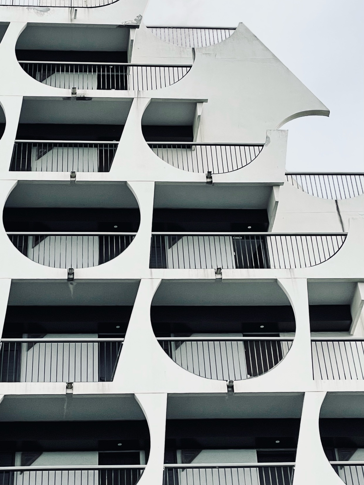 Photo by oandreoliveiracosta